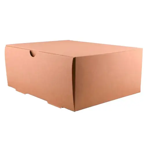 [ENVKRADEL055] TheBox delivery 3500 A 3900 ml 25x9,8x20 cm EMBALAJE 200 uds. DEANDESPAC
